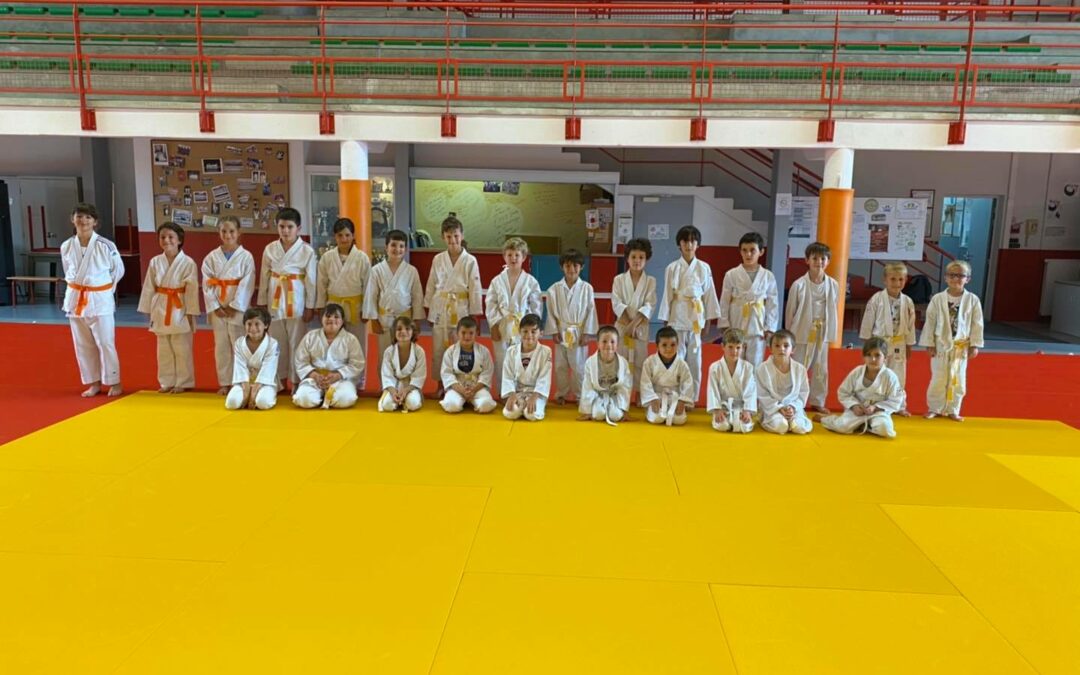 Actualités Judo – Juillet & Août 2021